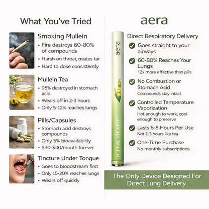 Aera Lung Cleanse Diffuser
